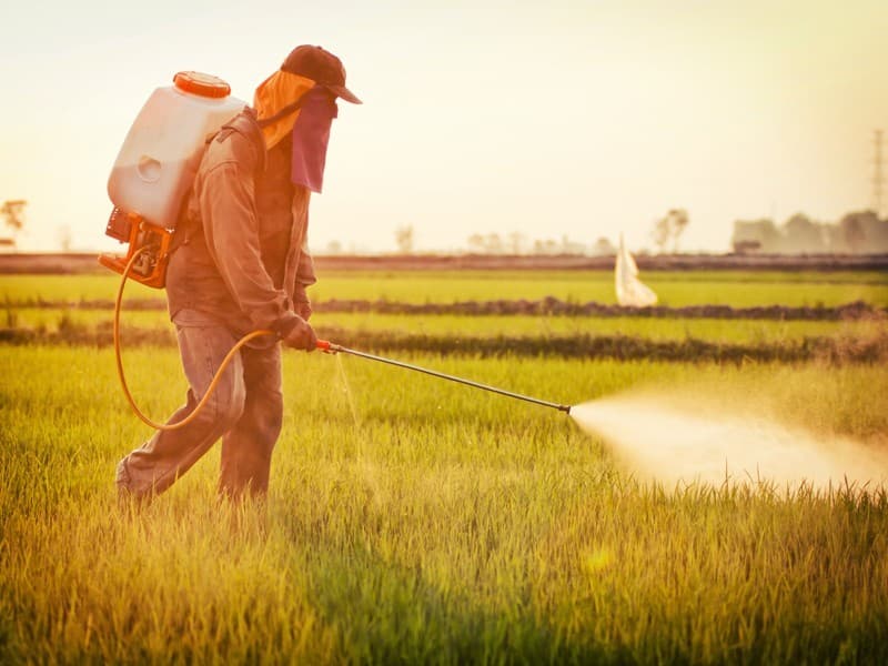 Farmer spraying a field with a backpack sprayer